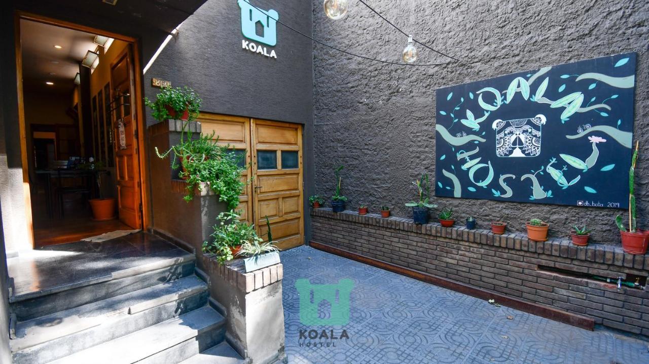 ميندوزا Koala Hostel المظهر الخارجي الصورة