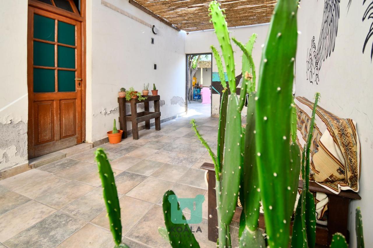 ميندوزا Koala Hostel المظهر الخارجي الصورة