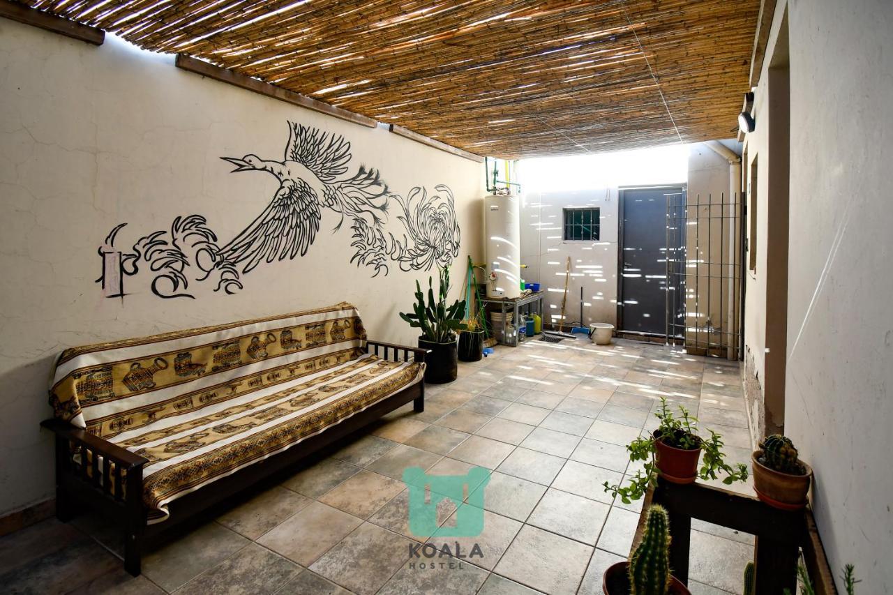 ميندوزا Koala Hostel المظهر الخارجي الصورة