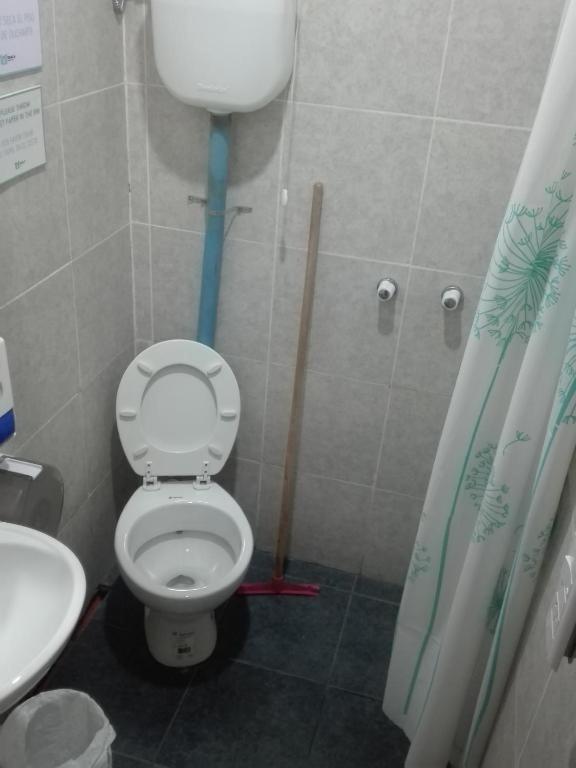 ميندوزا Koala Hostel الغرفة الصورة